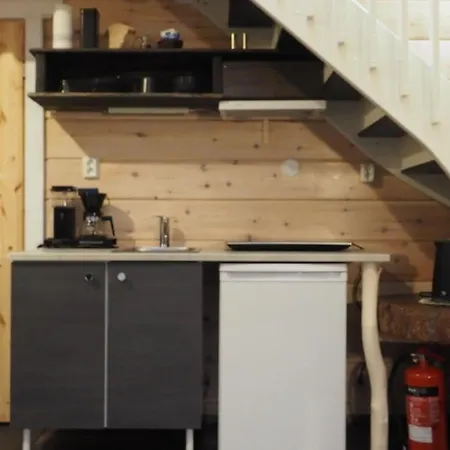 Lapintintti Eco-cabin In 伊纳利