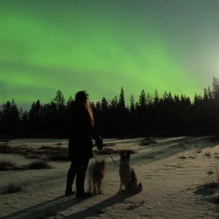 木屋 Lapintintti Eco-cabin In *