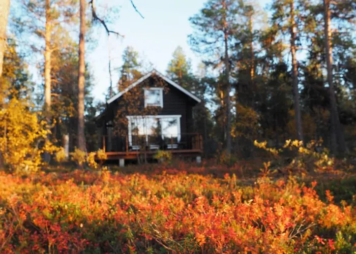 Lapintintti Eco-cabin In * Inari