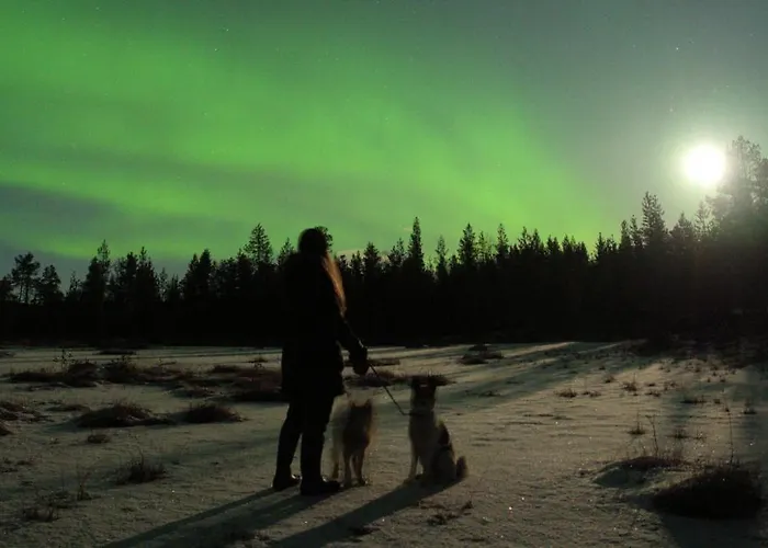 Horská chata Lapintintti Eco-cabin In *